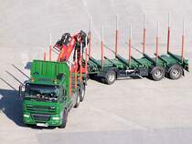 DAF-CF85.460 am Weg zum Holzlagerplatz;100810