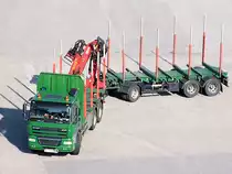 DAF-CF85.460 am Weg zum Holzlagerplatz;100810