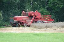 Massey-Ferguson im September 2006 in 36100 Petersberg-Marbach 