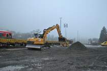 Liebherr Bagger, am 14.11.2010 in Goslar.