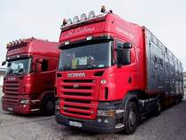 SCANIA-R580,im Hintergrund R560, mit Groviehtransportauflieger warten auf die Beladung vor den FIH-Stallungen;101121