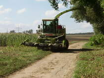 Ein Claas Jaguar Hcksler auf einen Maintaler Feld am 27.08.09