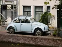 Ein K�fer fotogarfiert in Leiden, Niederlande am 11-07-2010.