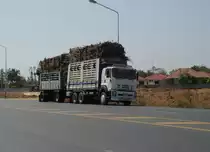 Ein LKW ISUZU DECA mit einem 2-achs H�nger, beide hoch mit Zuckerrohr beladen, am 28.01.2011 im Nordosten Thailands