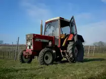 IHC 844XL International, 4-Zyl.Diesel, 4400ccm, 80PS, von dem Typ wurden von 1975-85 ber 20.000 Stck gebaut, Feb.2011