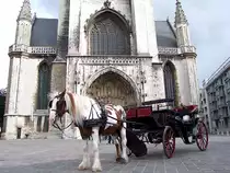 Einspnner wartet in Gent geduldig auf Fahrgste;100831