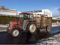 Massey Ferguson MF 240 karrt mit dem Viehhnger ein Zuchtrind zu den FIH-Stallungen;101221