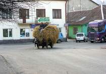 Alltag in Ukraine (Rawa Ruska) 25-03-2008.