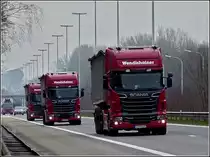 Drei Scania R500 V8 hintereinander auf der Autobahn zwischen L�ttich und Antwerpen aufgenommen am 09.03.2011.