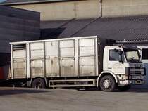 SCANIA 93M-250 liefert Zuchtrinder zu den FIH-Stallungen;110312