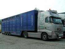 VOLVO FH480 mit FINKL-Tiertransportauflieger wartet vor den FIH-Stallungen auf Zuchtrinder zum Abtransport;110416