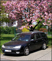 21.04.2011: unter`m Bl�tendach - Ford Mondeo Combi..