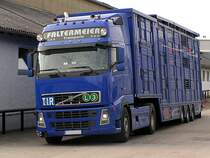 VOLVO-460 von Faltermeier-Tansporte hat Zuchtrinder bei den FIH-Stallungen geladen;110416