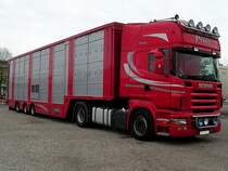 SCANIA R560 V8 wartet auf die Beladung von Zuchtrindern zum Export in die Trkei;110415