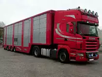 SCANIA R560 V8 wartet auf die Beladung von Zuchtrindern zum Export in die T�rkei;110415