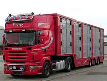 SCANIA R560 V8 wartet Frhmorgens auf die Beladung von Zuchtrindern;110415