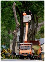 Am 08.06.2011 habe ich diesen VW LT mit Arbeiterlift ablichten knnen, als die Arbeiter bei einem Baum der gefllt wurde die ste entfernten 