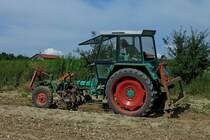 Fendt Gertetrger 276 GTS beim Arbeiten im Gemsefeld, Juni 2011