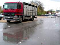 ACTROS 1831 wartet vor den Toren der Stallungen des FIH auf seine lebende Fracht; 080429