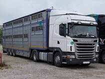 SCANIA G420 ist mit Rindern beladen,und wird in Krze seine Fahrt in die Trkei starten, aber vorher gnnt sich der Fahrer noch eine kleine Pause;110609