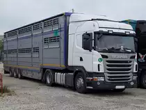 SCANIA G420 ist mit Rindern beladen,und wird in K�rze seine Fahrt in die T�rkei starten, aber vorher g�nnt sich der Fahrer noch eine kleine Pause;110609