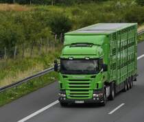 Scania Viehrtansportsattelzug, in Lehrte auf der A2 am 21.07.2011.