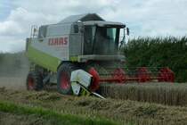 Claas Lexion 420 bei der Getreideernte, Juli 2011