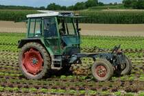 Fendt F 360GT, der vielseitige Gertetrger bei Pflegearbeiten im Gemseanbau, Juli 2011