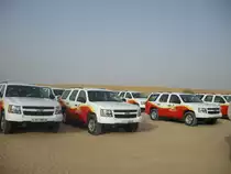 W�stenjeeps der Marken Chevrolet und Toyota bei einer Safari in der W�ste in den VAE(Jul 10)