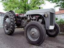 FERGUSON mit 28PS Bj.1952 wird noch immer zur tglichen Arbeit herangezogen;110515