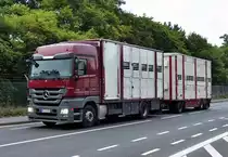 MB Actros 1848 Hngerzug Viehtransporter in Euskirchen - 27.07.2011
