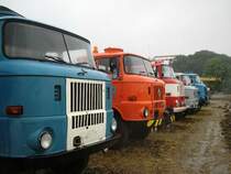 Parade der Ifa W50 beim Rottelsdorfer Schleppertreffen 2006. Leider wurde dieses Treffen eine Schlammschlacht,da es am Sonntag stark regnete