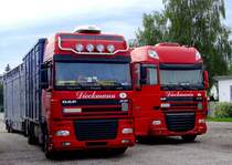 DAF XF im Doppelpack (LI 95.480; RE 105.510) von Dieckmann warten auf die Beladung von Fleckviehzuchtrinder in Ried;110917