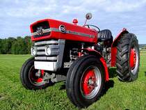 MF135 wurde im Zeitraum von 1965 bis 1970 �ber 350.000 Mal verkauft;110717