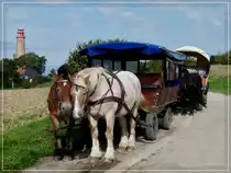 Beim Ausichtsturm in der N�he von Kap Arkona wartete dieses Pferdegespann geduldig auf seine Fahrg�ste um danach die Fahrt fortzusetzen. 21.09.11