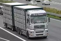Mercedes Actros Viehtransporth�ngerzug auf der A2 bei Lehrte am 14.09.2011.