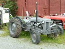 Ferguson steht mit gesenktem Blick in S�dnorwegen, Juli 2011