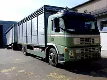 VOLVO mit Aufbau f�r Gro�viehtransport bei der Anlieferung von Zuchtrindern zu den FIH-Stallungen;110924