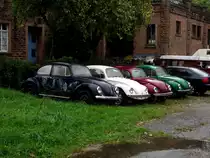 Vier K�fer am 08.10.11 in Neckargem�nd 