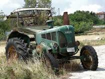 Aufgenommen auf dem Pillion, Griechenland, August 2009. Man knnte ventuell noch etwas aus ihm machen.

