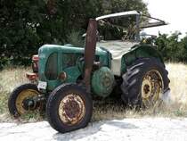 Aufgenommen auf dem Pillion, Griechenland, August 2009. Man knnte ventuell noch etwas aus ihm machen.

