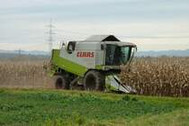 Claas Lexion 420, Mhdrescher bei der Maisernte in der Rheinebene, Nov.2011