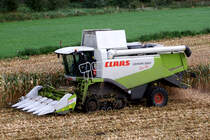 Claas Lexion 560 beim Maisdreschen gesehen bei mir vor der Haustr 7.10.2011