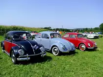 K�fer-TRIO hat sich in Meggenhofen eingefunden; 110821