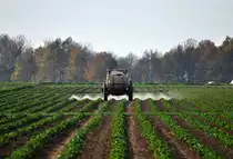 Traktor mit Spr�hgest�nge beim  Giften  - Heimerzheim 05.11.2011