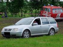 VW-Passat wagt sich in die Botanik;100529