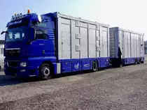 MAN TGX18.540 mit Viehtransportauflieger samt Anh�nger wartet auf die Beladung von FIH-Zuchtrindern; 120318