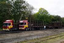 Ein DAF und ein SCANIA Holztransporter laden am 11.10.2004 alte Schwellen im Bahnhof von Thisted.