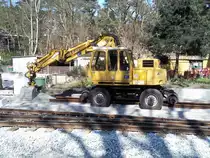 Atlas in G�hren am 06.04.2012