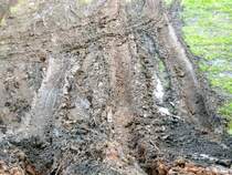 Die Trailstrecke von Werdau.Dieses Bild hinterlies der trail Tatra nach mehreren erfolglosen Versuchen den Berg zu erklimmen.